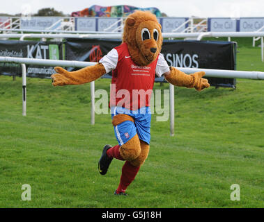 Les courses de chevaux - Hippodrome de Doncaster Banque D'Images