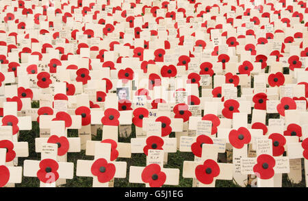 Des milliers de croix et de coquelicots ont été plantés dans un parc pour établir le premier champ de mémoire dans le nord de l'Angleterre. L'hommage rendu aux militaires britanniques tombés est exposé à Saltwell Park, à Gateshead, et environ 10,000 croix y ont été placées. Banque D'Images