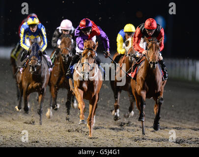 Horse Racing - Courses Kempton Banque D'Images