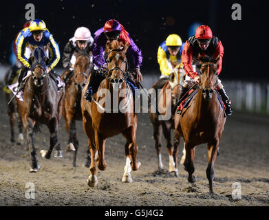 Secretinthepark, monté par Sean Levey (à gauche), remporte le Download the Free Racing plus App Nursery Handicap Stakes from Dashing David, monté par Jimmy Fortune (à droite) Banque D'Images