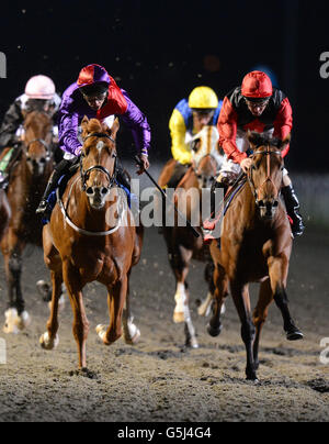 Secretinthepark, monté par Sean Levey (à gauche), remporte le Download the Free Racing plus App Nursery Handicap Stakes from Dashing David, monté par Jimmy Fortune (à droite) Banque D'Images