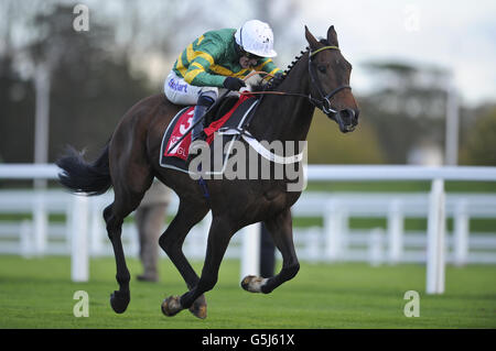 Courses hippiques - United House Group Day - Hippodrome d'Ascot.A. P.McCoy gagne « My Tent or Yours » dans la course de haies d'Owen Brown, organisée dans le cadre des événements GL, malgré les blessures récentes du visage Banque D'Images