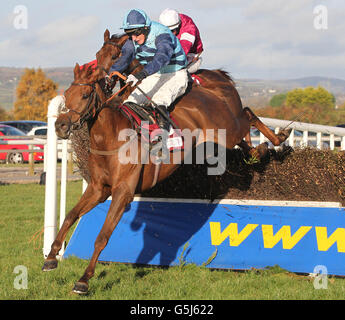 Les courses de chevaux - 2012 Irlande du Nord Festival de course - Jour deux - Bas Hippodrome Royal Banque D'Images