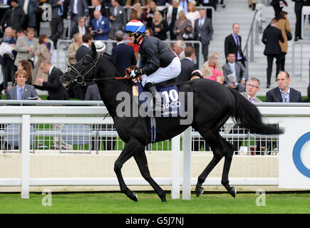 Society Rock criblé de jockey Kieren Fallon va à la poste Pour les enjeux Qipco British Champions Sprint Banque D'Images