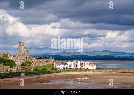 Vue sur East Sands Beach à Port-ville et de la cathédrale les ruines dans la ville de la côte est de Fife. Burgh Royal St Andrews Fife Ecosse Royaume-Uni Grande-Bretagne Banque D'Images