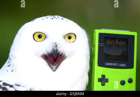 Gameboy Harry Potter Banque D'Images