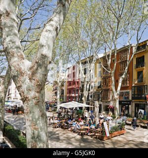 Vue sur la place de l'avenue Passeig del Born à Palma, Majorque. Banque D'Images