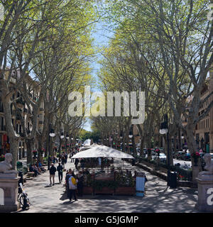 Vue sur place vers le bas Passeig del Born à Palma, Majorque. Banque D'Images