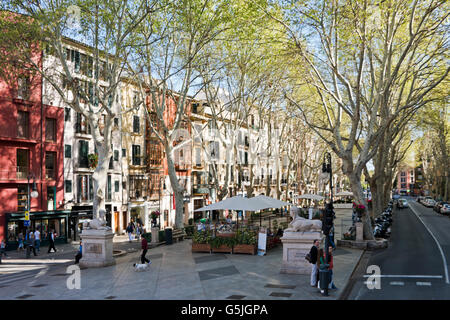 Vue horizontale le long du Passeig del Born à Palma, Majorque. Banque D'Images