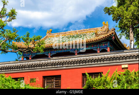 Pavillon dans le parc Beihai - Beijing, Chine. Banque D'Images