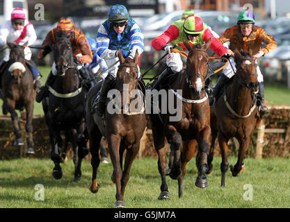 Les courses de chevaux - 2012 Irlande du Nord Festival de course - Jour deux - Bas Hippodrome Royal Banque D'Images