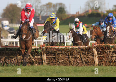 Courses hippiques - 2012 Northern Ireland Festival of Racing - deuxième jour - Down Royal Racecourse.Latino Connection, monté par Ben Crawford, saute le dernier pour remporter l'obstacle handicap du groupe Tayto sur le circuit de course de Down Royal Race, Lisburn. Banque D'Images