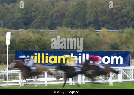 Les courses de chevaux - United House Group Day - Ascot Racecourse Banque D'Images