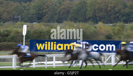 Les courses de chevaux - United House Group Day - Ascot Racecourse Banque D'Images