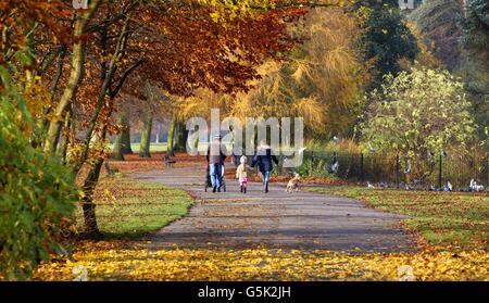 Marcheurs profitant du temps d'automne au parc de Calderstones, Woolton, Liverpool. Banque D'Images