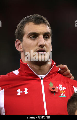 Rugby Union - Dove Men's Series - Pays de Galles v Argentine - Millennium Stadium Banque D'Images