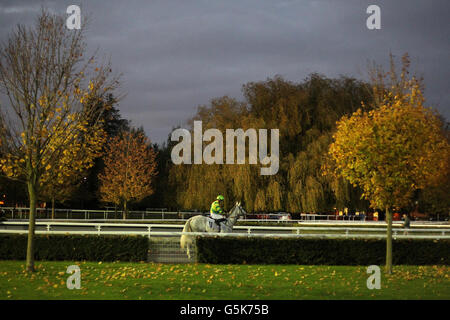 Les chevaux vont poster pour le dos ou se reposent sur Betdaq.com handicap Stakes à Kempton Racecourse, Kempton. Banque D'Images