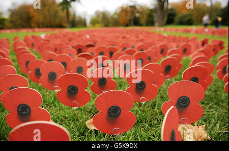 Vue générale sur un champ de coquelicots à l'extérieur de la maison Lydiard. Banque D'Images