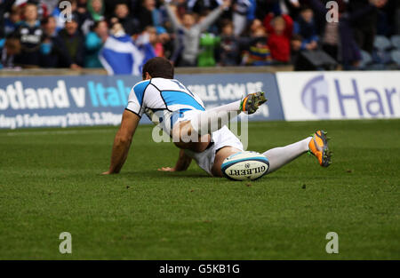 Tim visser, en Écosse, célèbre son essai lors du match de test EMC à Murrayfield, Édimbourg. Banque D'Images