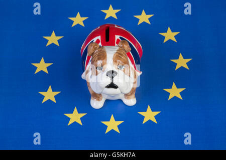 Tirelire British Bulldog assis dans les cercles européens d'étoiles de campagne restent Banque D'Images