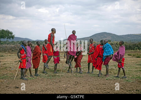 Groupe de guerriers Masai faisant une danse de cérémonie dans un village Masai, Kenya, Afrique. Banque D'Images