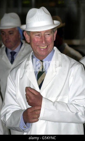 Britains Prince Charles le duc de Rothesay, lors d'une visite de la célèbre usine Walkers Shortbread à Elgin. Le Prince a vu une chaîne de production qui fabrique la propre marque de biscuits biologiques du Prince, duché originaux, établie en 1990, dont le produit va à la charité. Banque D'Images