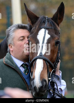 Kauto Star et son entraîneur Paul Nicholls comme sa statue est dévoilée à Haydock Park Racecourse, où le Betfair Chase qu'il a gagné quatre fois a lieu plus tard dans la journée. Banque D'Images