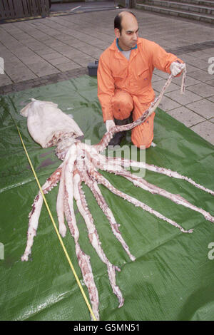 Rolf Williams, de l'Aquarium National Marine, étudie les tentacules et ...