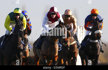 Tony McCoy sur Meganisi (troisième à partir de la droite) remporte la course de haies des novices du Sportingbet lors du Festival d'hiver du Sportingbet à l'hippodrome de Newbury. Banque D'Images