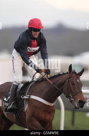 Les courses de chevaux - Le Sportingbet Winter Festival - Hennessy Gold Cup Day - Newbury Banque D'Images