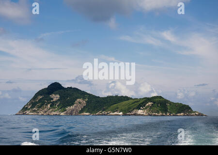 Queimada Grande island connue sous le nom de l'île Snake accueil de serpent venimeux Bothrops jararaca Ilhoa insularis rive du Brésil. Banque D'Images