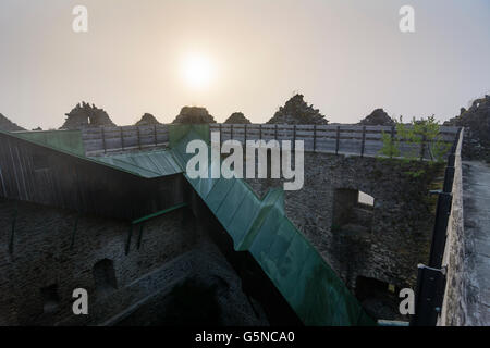 Neunußberg Château : tour d'habitation, Morning Mist, Viechtach, Allemagne, Bavière, Bayern, Niederbayern, Basse-Bavière Banque D'Images