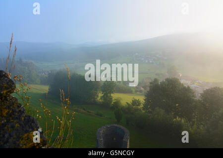 Neunußberg Château : La vue de la chambre de la tour dans la brume matinale sur Neunußberg et la forêt de Bavière, Viechtach, Allemagne, Baye Banque D'Images