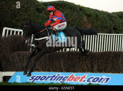 Le sprinter Sacre, criblé par le jockey Barry Geraghty, saute le dernier sur son chemin pour gagner le Sportingbet Tingle Creek Chase pendant le deuxième jour du Festival de Noël de Tingle Creek à l'hippodrome de Sandown Park, Sandown. Banque D'Images