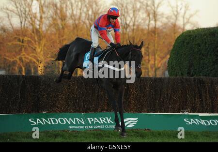 Le sprinter Sacre, criblé par le jockey Barry Geraghty, saute le dernier sur son chemin pour gagner le Sportingbet Tingle Creek Chase pendant le deuxième jour du Festival de Noël de Tingle Creek à l'hippodrome de Sandown Park, Sandown. Banque D'Images