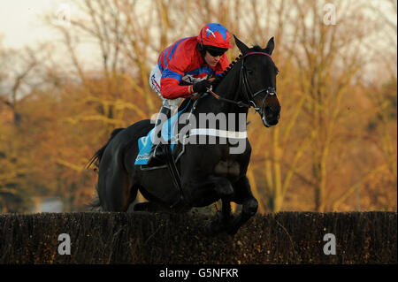 Sacre de sprinter, criblé par le jockey Barry Geraghty, saute pendant le Sportingbet Tingle Creek Chase pendant le deuxième jour du Festival de Noël de Tingle Creek à l'hippodrome de Sandown Park, à Sandown. Banque D'Images