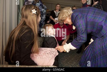 Aider les enfants décorer Camilla tree Banque D'Images