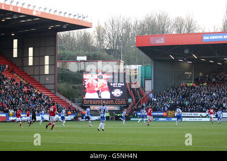 Soccer - npower Football League Championship - Charlton Athletic v Brighton et Hove Albion - La Vallée Banque D'Images