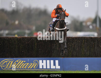 SAM Waley-Cohen à bord Rajdhani Express efface le dernier sur le chemin de gagner la deuxième course, The William Hill - Télécharger le Handicap Chase d'App Novices Banque D'Images