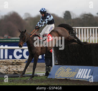 Courses hippiques - William Hill Winter Festival - deuxième jour - Hippodrome de Kempton Park.Menorah, monté par Richard Johnson, saute la dernière clôture pour gagner le William Hill Levy Board Peterborough Steeple Chase. Banque D'Images