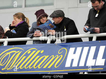 Les courses de chevaux - William Hill Winter Festival - Jour 1 - Kempton Park Racecourse Banque D'Images