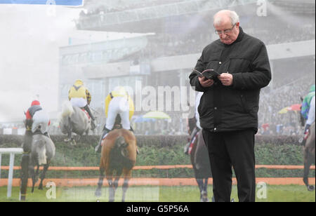 Un punter lit la forme pendant le Festival de Noël de Leopardstown à l'hippodrome de Leopardstown, Dublin, Irlande. Banque D'Images