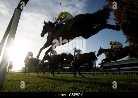 Une vue générale des coureurs et des cavaliers dans l'obstacle Ryans Cleaning Maiden pendant le festival de Noël de Leopardstown à l'hippodrome de Leopardstown, Dublin, Irlande. Banque D'Images