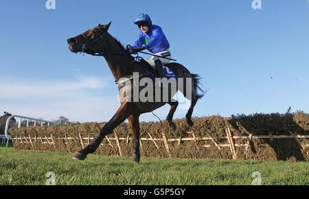 Hurricane Fly, monté par Ruby Walsh, remporte l'épreuve du festival Istaabraq lors du festival de Noël de Leopardstown à l'hippodrome de Leopardstown, à Dublin, en Irlande. Banque D'Images