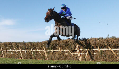 Hurricane Fly, monté par Ruby Walsh, remporte l'épreuve du festival Istaabraq lors du festival de Noël de Leopardstown à l'hippodrome de Leopardstown, à Dublin, en Irlande. Banque D'Images