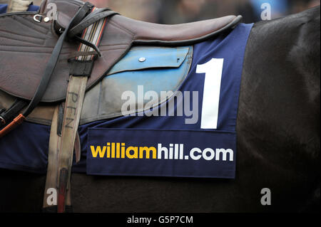 Détail de la signalisation de William Hill sur le tissu de selle d'un cheval de course Banque D'Images