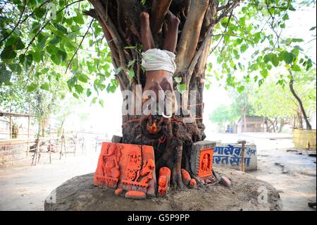 Allahabad, Uttar Pradesh, Inde. 21 Juin, 2016. Les personnes qui font de la méditation de yoga Yoga International Day à Allahabad. © Prabhat Kumar Verma/ZUMA/ZUMAPRESS.com/Alamy fil Live News Banque D'Images