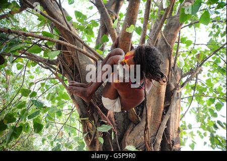 Allahabad, Uttar Pradesh, Inde. 21 Juin, 2016. Les personnes qui font de la méditation de yoga Yoga International Day à Allahabad. © Prabhat Kumar Verma/ZUMA/ZUMAPRESS.com/Alamy fil Live News Banque D'Images