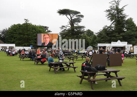 Goodwood, West Sussex, UK. 23 Juin, 2016. Goodwood, West Susses, UK, 23/6/16 : Crédit Malcolm Greig/Alamy Live News Banque D'Images