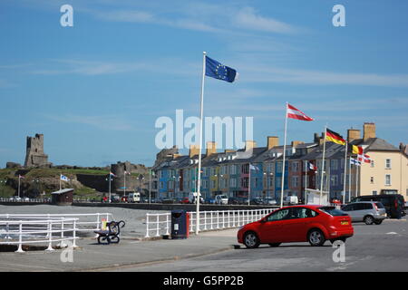 Aberystwyth, Pays de Galles, Royaume-Uni. 23 Juin, 2016. Le jour du référendum britannique et l'UE drapeau flotte sur la côte galloise où la communauté européenne Pro sont mis à voter pour rester en Europe et mettre en garde si Brexit gagner cela pourrait conduire à une rupture de l'UK affirment de nombreux électeurs gallois Crédit : mike davies/Alamy Live News Banque D'Images